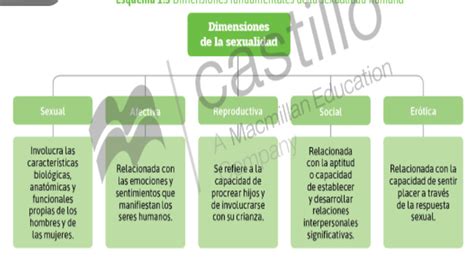 Lunes 04 De Octubre 2021 Decisiones Sobre La Sexualidad 1 A Secundaria