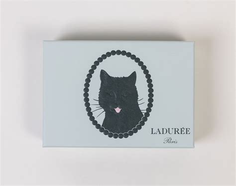 Coffret de biscuits langues de chat Maison Ladurée