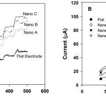 A Amperometric Current Responses Obtained For The Functionalized Naes