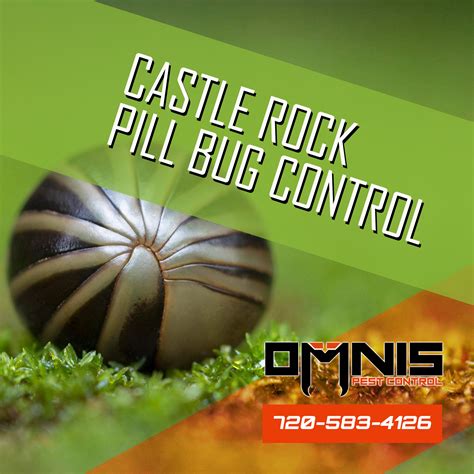 Castle Rock Pill Bug Control Omnis Pest Control