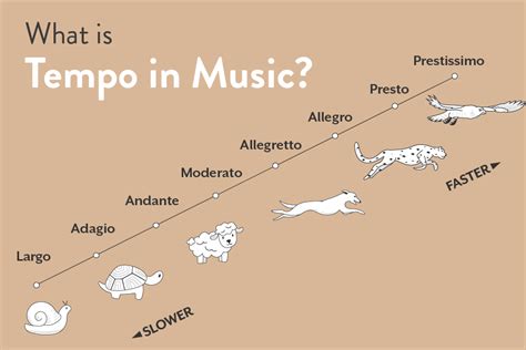 Musical Tempo Terms