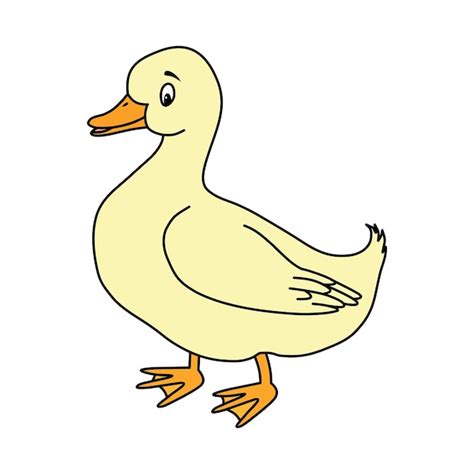 Ilustraci N De Vector De Pato Lindo Pato De Dibujos Animados Dibujar