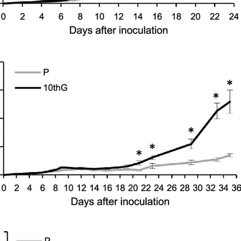 Tumorigenic capacity in a murine model Cells 1 5 10 6 in 50 µL of