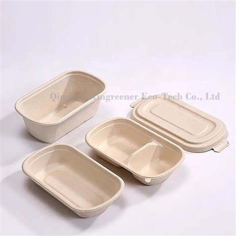 100 Biodegradable Bagasse Corn Pulp Disposable Multi Compartment Lunch