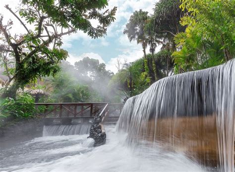 Tabacon Hot Springs Admission with Dinner - TGW Travel Group