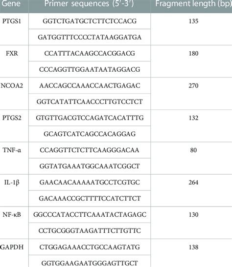 Primers For Real Time Reverse Transcription Polymerase Chain Reaction