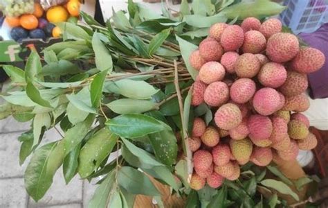 A Grade Muzaffarpur Litchi at Rs 350/kg in Mumbai | ID: 2851074557630