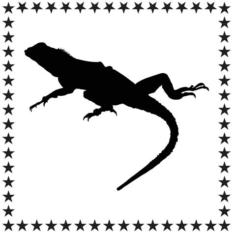 Lizard Silhouette Illustration Lizard Silhouette Lizard Silhouette