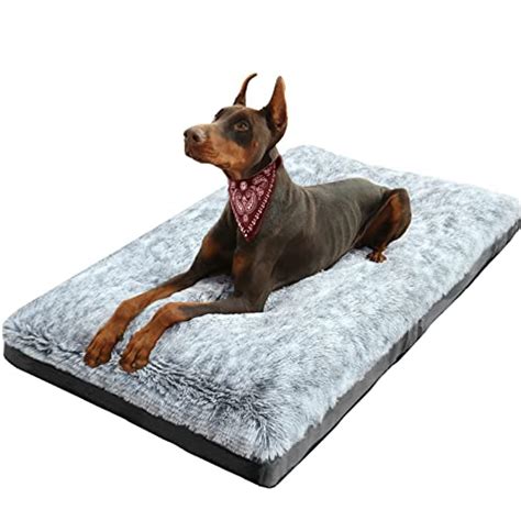 10 Best Fully Washable Dog Beds to Keep Your Pup Comfy and Clean ...