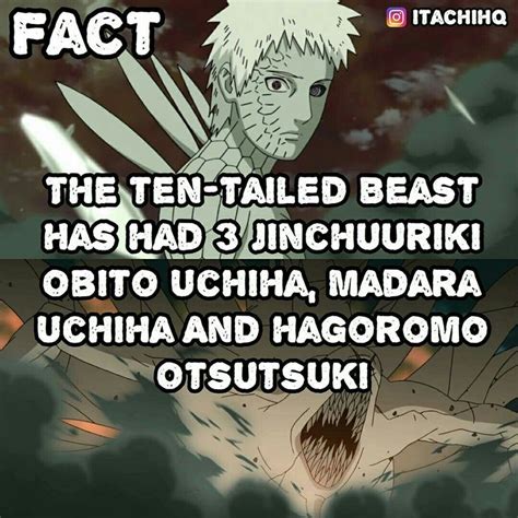 Pin By Christopher Mccabe On Naruto Naruto Character Info Naruto