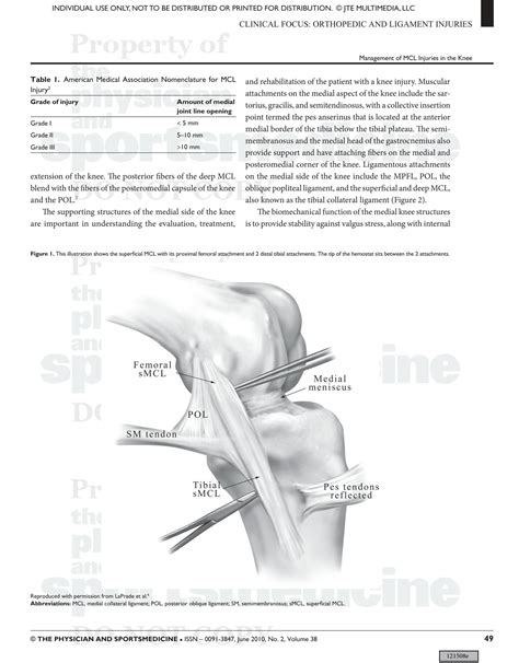 Solution Materi Lengkap Orthopaedic Ligament Studypool