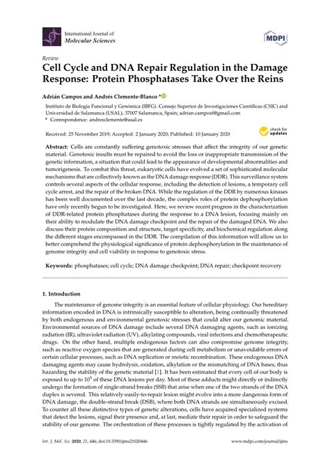 Pdf Cell Cycle And Dna Repair Regulation In The Damage Response