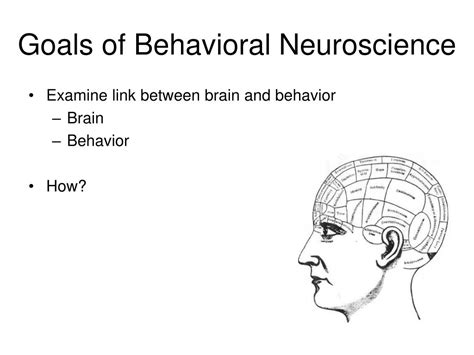 PPT Methodology In Behavioral Neuroscience PowerPoint Presentation