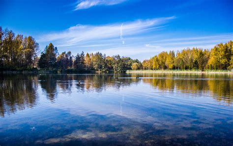 Free Images Landscape Tree Nature Cloud Sky Sunlight Morning