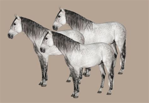 Premium Photo | Horses communicate through body language and ...