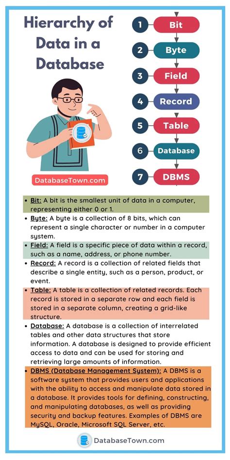 Hierarchy of Data in a Database (from Smallest to Largest Levels)