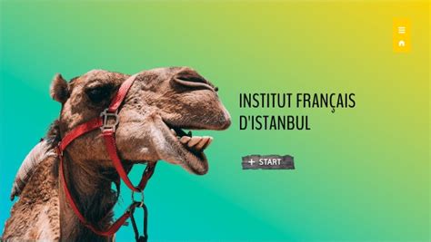 INSTITUT FRANçAIS D ISTANBUL