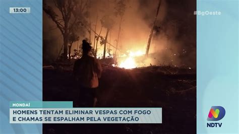 Homens Tentam Eliminar Vespas Fogo E Chamas Se Espalham Pela