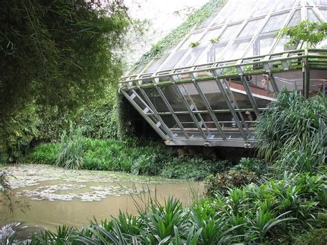 Jurong Bird Park 2008 - Outside the Waterfall Aviary - ZooChat