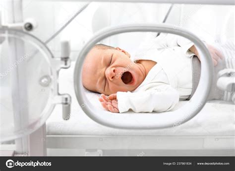 Newborn Baby Incubator Newborn Baby Incubator Hospital Ward Stock Photo