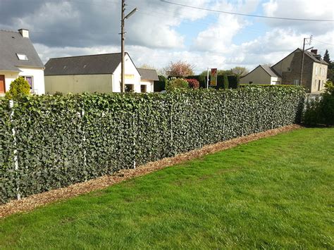 Comment Se Cacher Du Vis Vis Dans Son Jardin Maison De La Nature