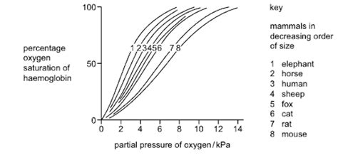 The Graph Shows The Oxygen Dissociation Curves Of Haemoglobin For Eight S