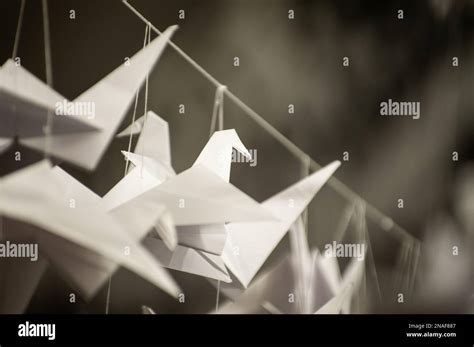 Japanese Folded Origami Cranes Hanging On With Strings Hundreds