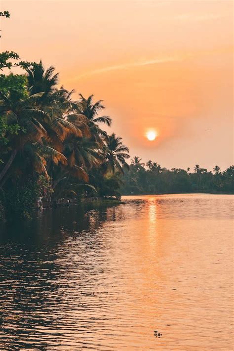 16 Epic Things To Do In Kerala India Best Places To Visit Artofit