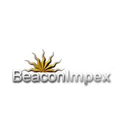 Beacon Impex Org Chart | The Org