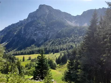 Best Camping Trails In Inzell Alltrails