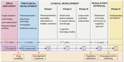 Drug development Flashcards | Quizlet