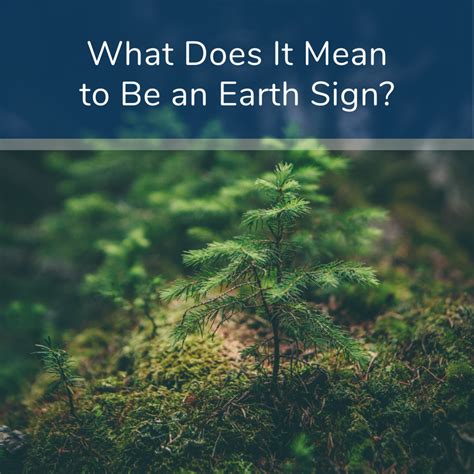 Understanding the Earth Element in Western Astrology: For Taurus, Virgo, and Capricorn - Exemplore