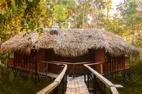 Meals | Sacha Lodge | Amazon lodge, Amazon rainforest, Ecuador travel