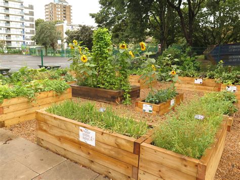 Garden School 28 Images Growing Vegetables In School Gardens Rhs