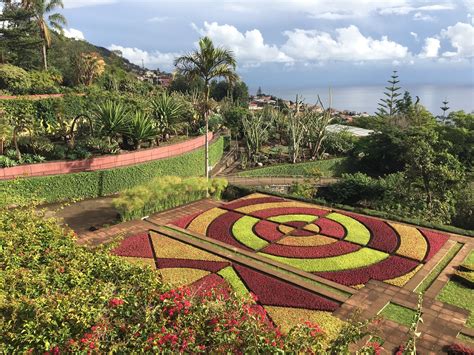 Madeira Botanical Garden Tours - Book Now | Expedia