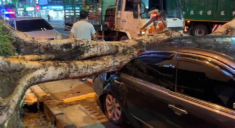 午後雨釀大樹倒塌！高雄車站旁「攔腰壓毀轎車」駕駛急奔現場：這麼嚴重 Yahoo奇摩時尚美妝