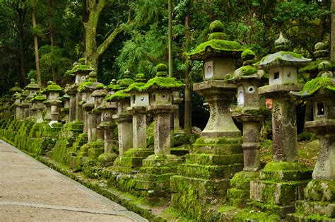 Nara travel | Japan, Asia - Lonely Planet