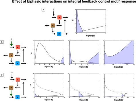 Figures And Data In A Unified Approach To Dissecting Biphasic Responses