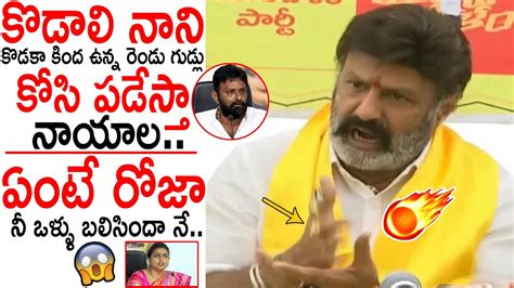 Nandamuri Balakrishna Mass Warning To Ex