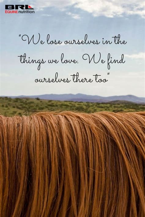 Pin on inspirational horse quotes and horse ideas