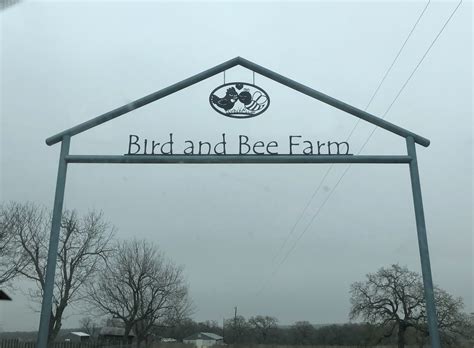 Voluteering at Bird and Bee Farm – Nature Along the El Camino Real