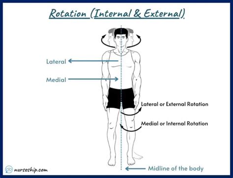 Different Types Of Anatomical Body Movements Examples