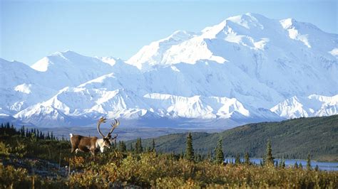 Alaska Wallpaper Screensaver - WallpaperSafari