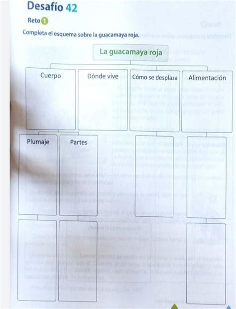 Desafío 42 Reto1 Completa el esquema sobre la guacamaya roja Cuerpo