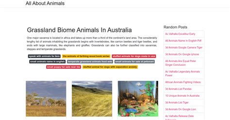 Grassland Biome Animals In Australia