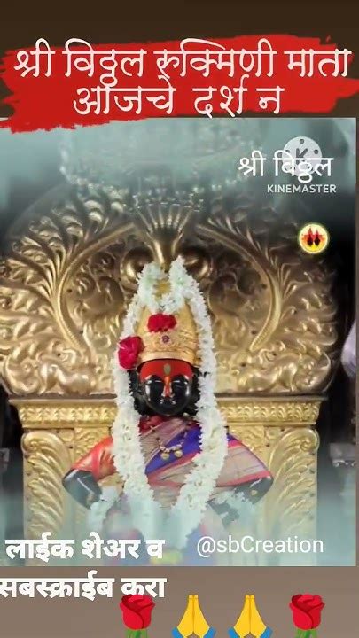 श्री विठ्ठल रुक्मिणी माता आजचे Darshan Support Pandharpurstatus