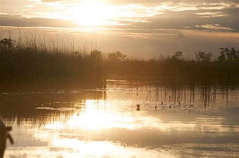 Okavango Delta Background Images HD Pictures And Wallpaper For Free