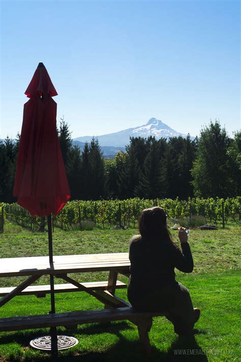 7 Columbia River Gorge Wineries You Have to Try - The Emerald Palate