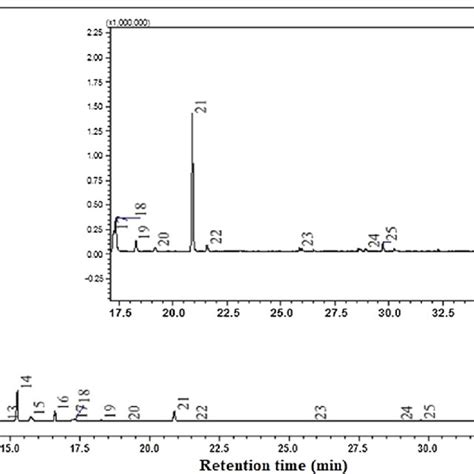 Gc Ms Chromatogram Retention Time And Area Of Nutmeg Essential Oil Download Scientific