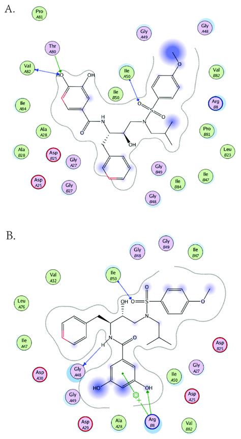 Molecular Modeling Of Inhibitors 15d And 15f A Ligplot Interaction Download Scientific